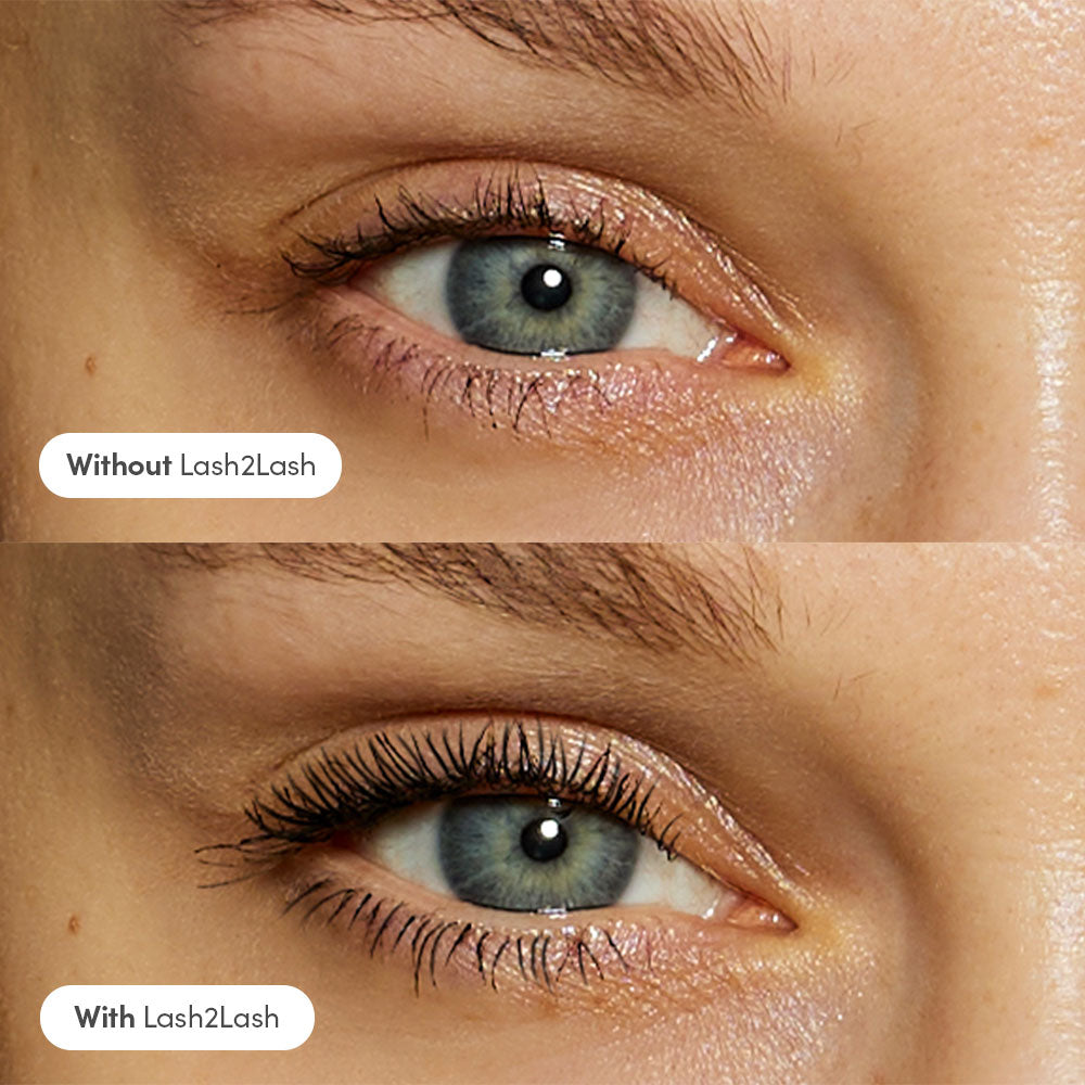 Lash2Lash